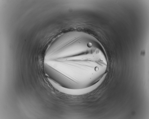 X0000111641298200908141357