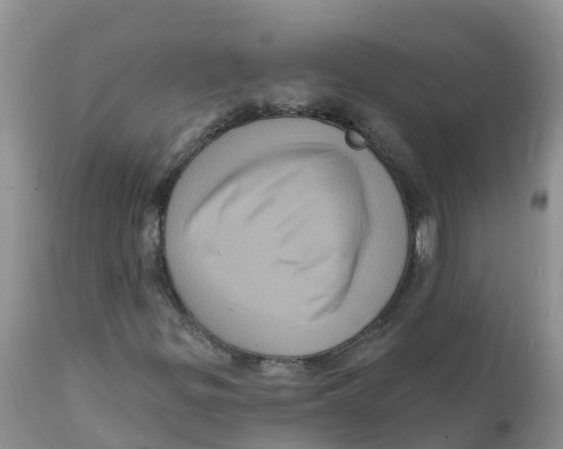 X0000111641299200908141357