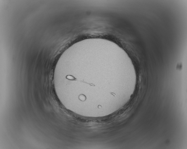 X0000111641300200908141357