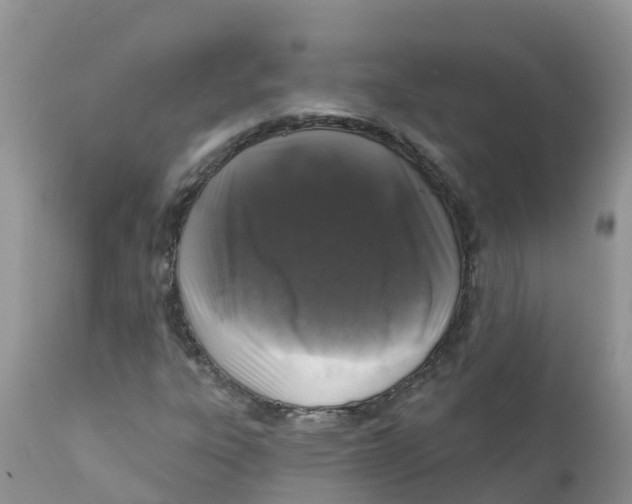 X0000111641303200908141357