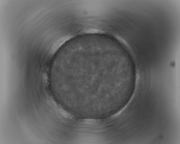 X0000111641305200908141357