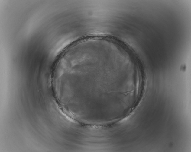 X0000111641306200908141357