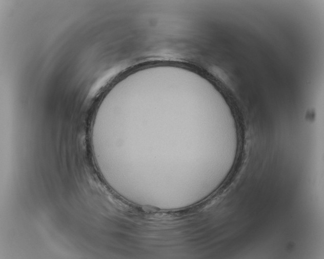 X0000111641307200908141357