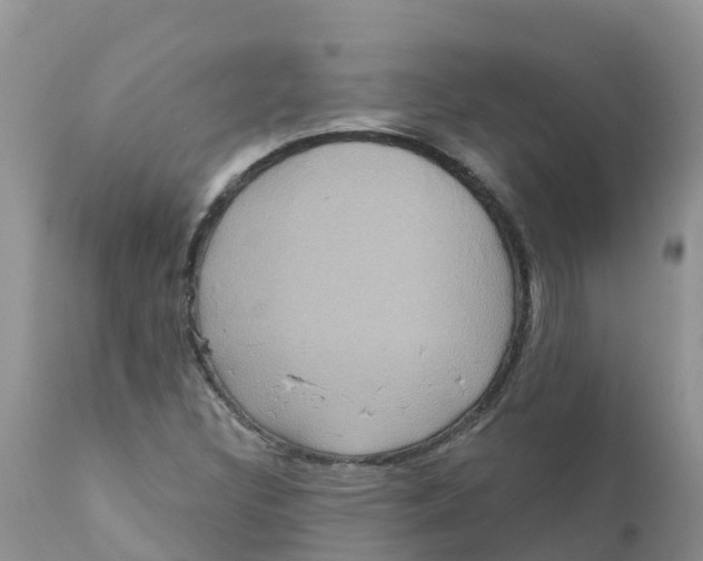X0000111641308200908141357