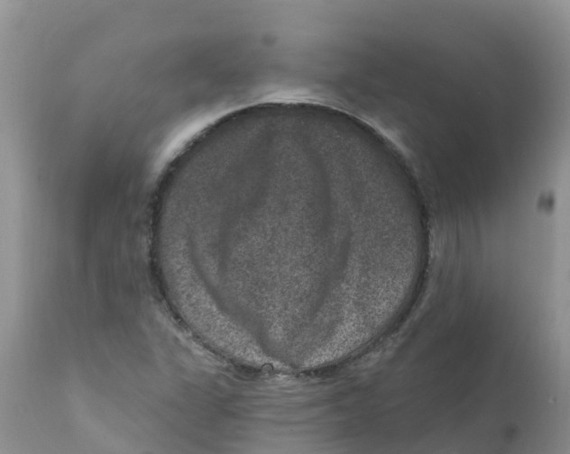 X0000111641311200908141357