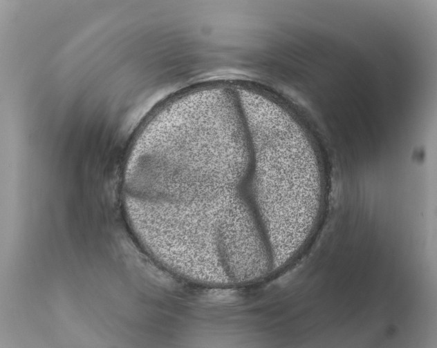 X0000111641313200908141357