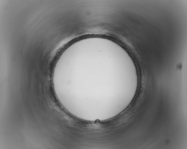 X0000111641315200908141358