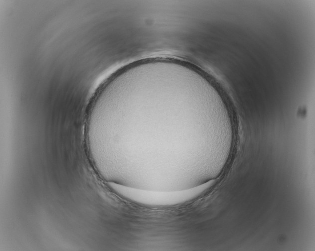 X0000111641316200908141358