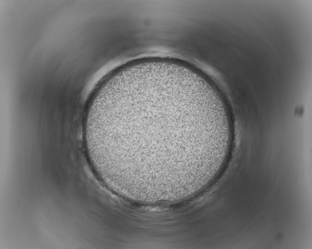X0000111641318200908141358