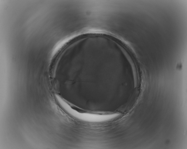 X0000111641319200908141358