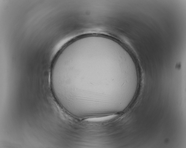 X0000111641320200908141358