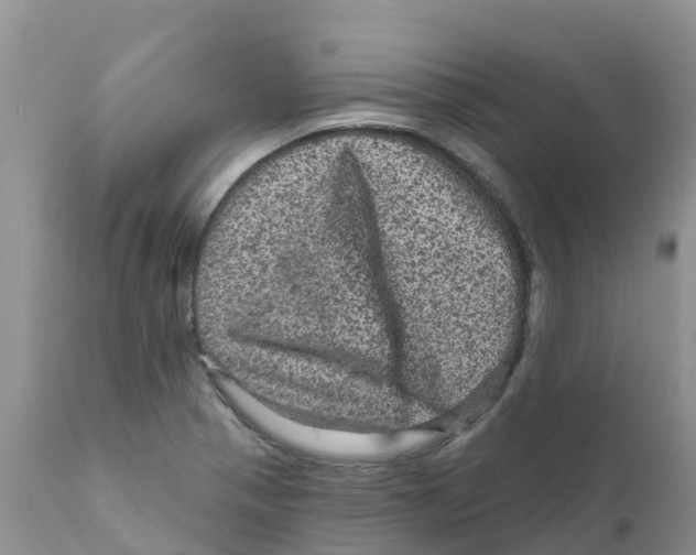 X0000111641321200908141358