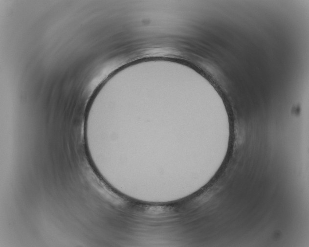 X0000111641322200908141358
