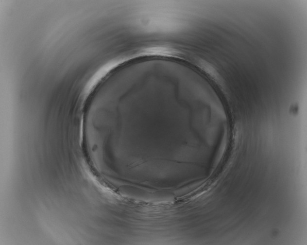X0000111641323200908141358