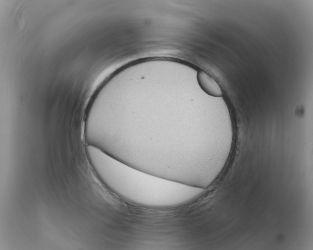 X0000111641324200908141358
