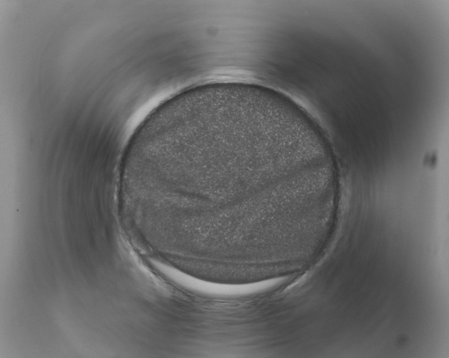 X0000111641325200908141358