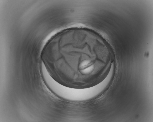 X0000111641326200908141358