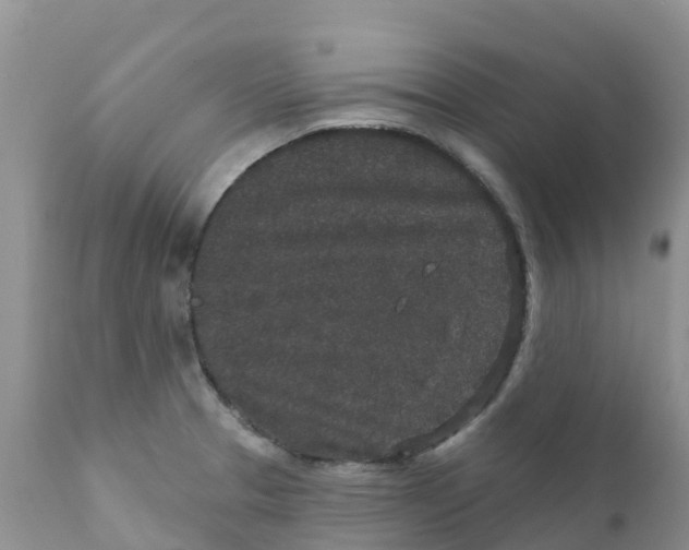 X0000111641329200908141358