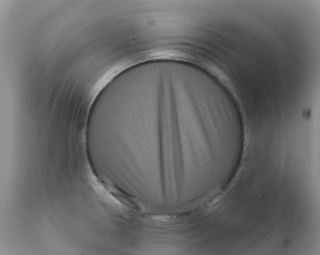 X0000111641330200908141358