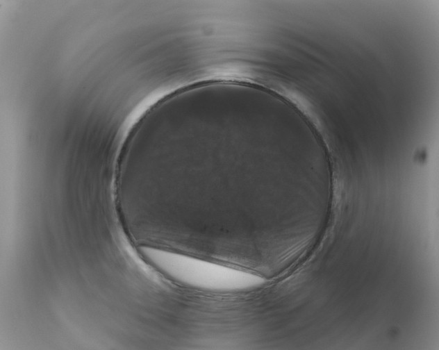 X0000111641331200908141358
