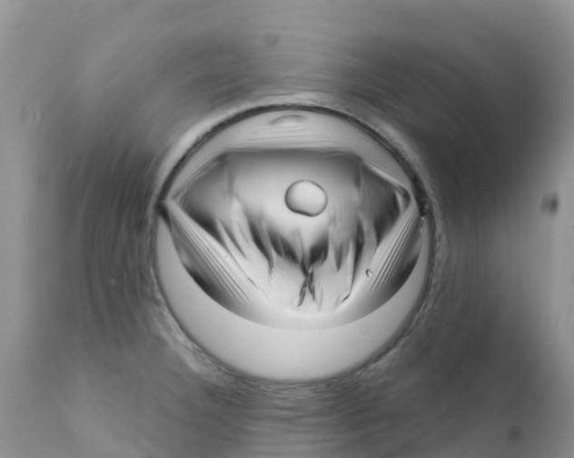 X0000111641332200908141358