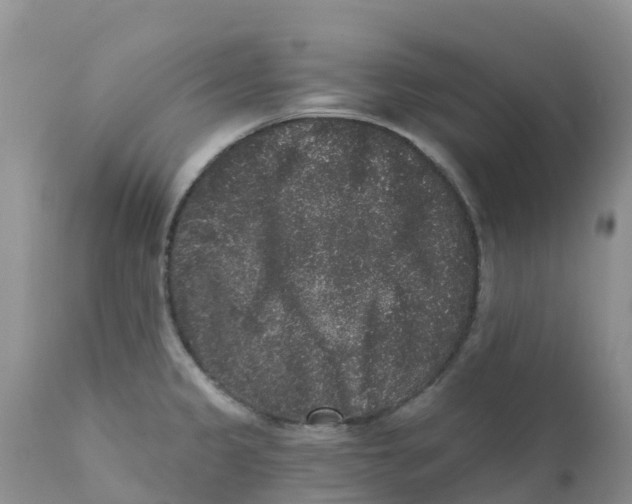X0000111641333200908141358