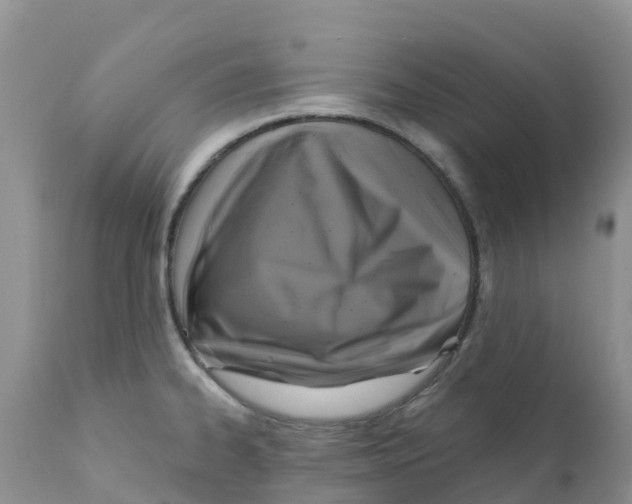 X0000111641334200908141358
