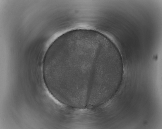 X0000111641335200908141358