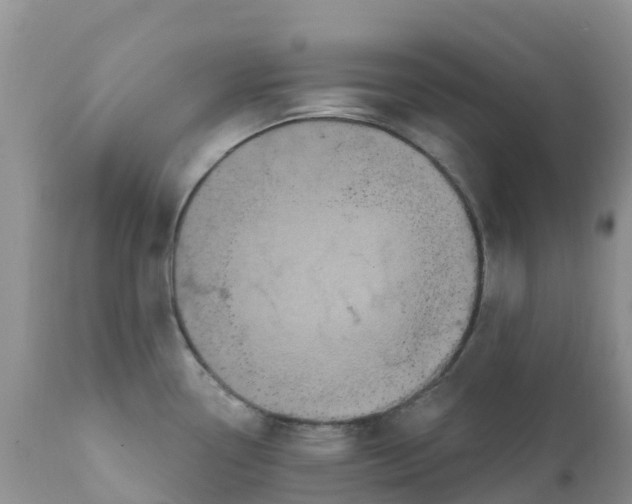 X0000111641338200908141358