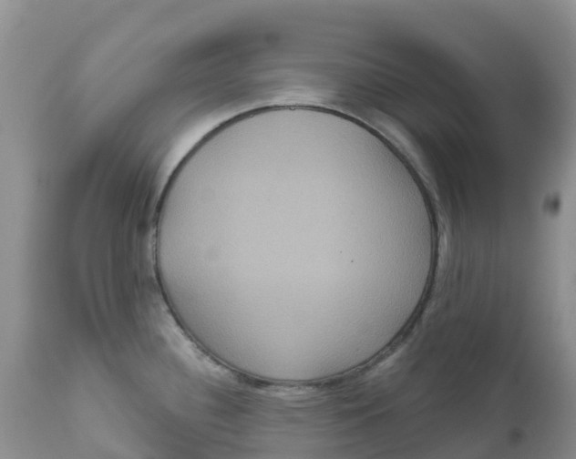 X0000111641340200908141358