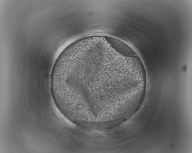 X0000111641341200908141358