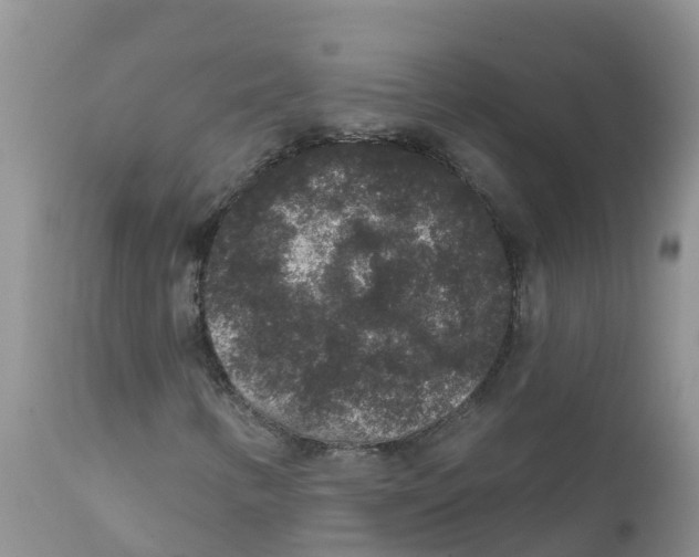 X0000111641346200908141357