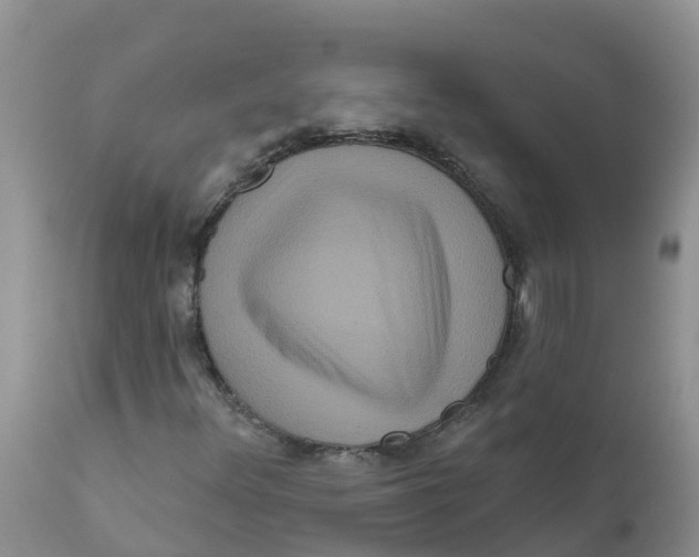 X0000111641348200908141357