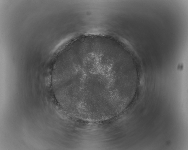 X0000111641350200908141357