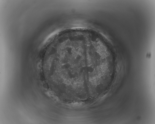 X0000111641351200908141357