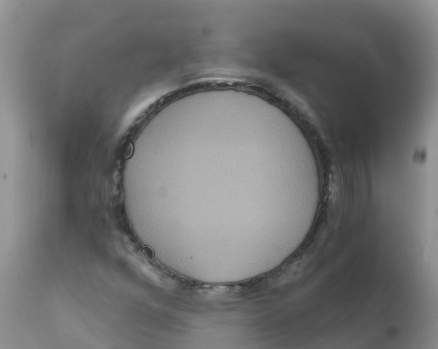 X0000111641352200908141357