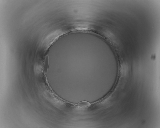 X0000111641353200908141357
