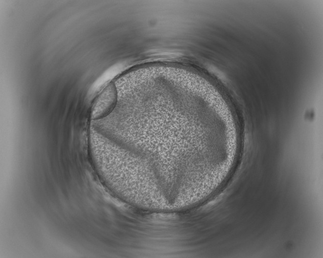 X0000111641354200908141357