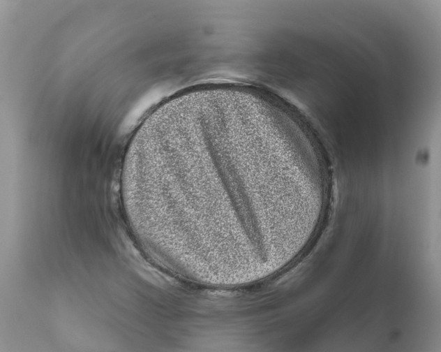 X0000111641355200908141357