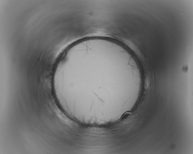 X0000111641356200908141357
