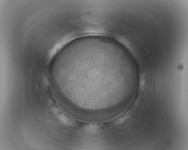 X0000111641357200908141357