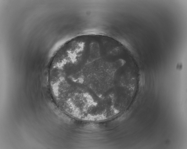 X0000111641358200908141357