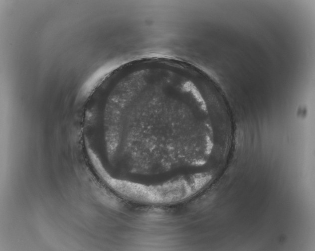 X0000111641359200908141357