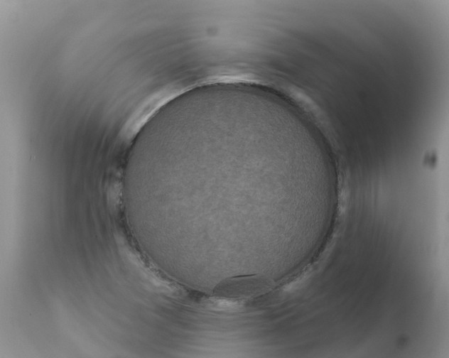 X0000111641361200908141357