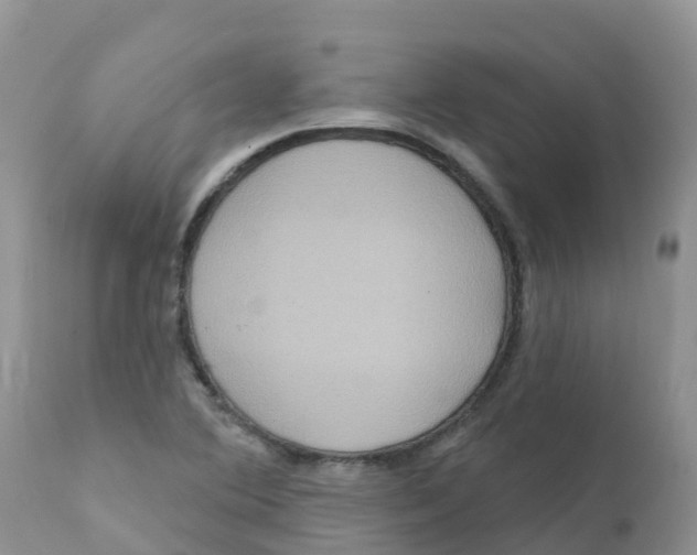 X0000111641364200908141357
