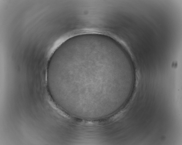 X0000111641365200908141357