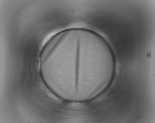 X0000111641366200908141357
