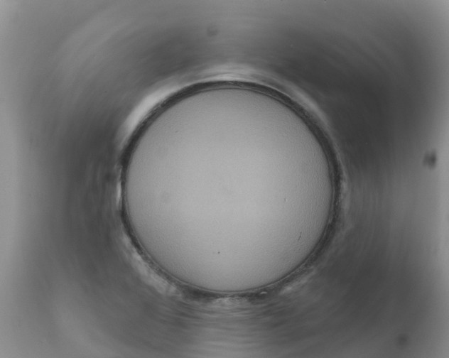 X0000111641368200908141357