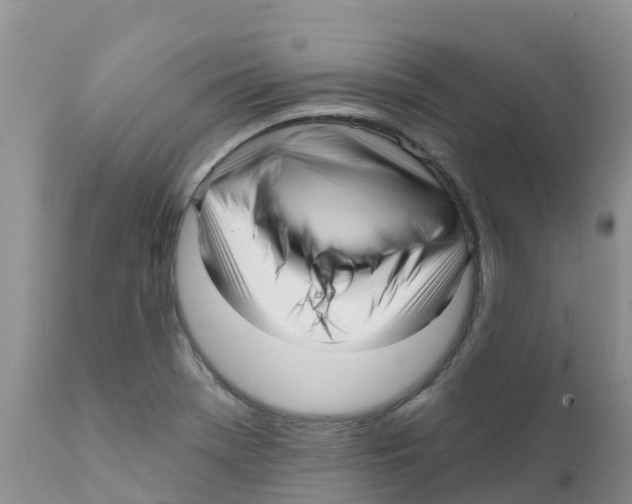 X0000111641369200908141357