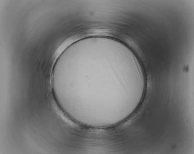 X0000111641370200908141357